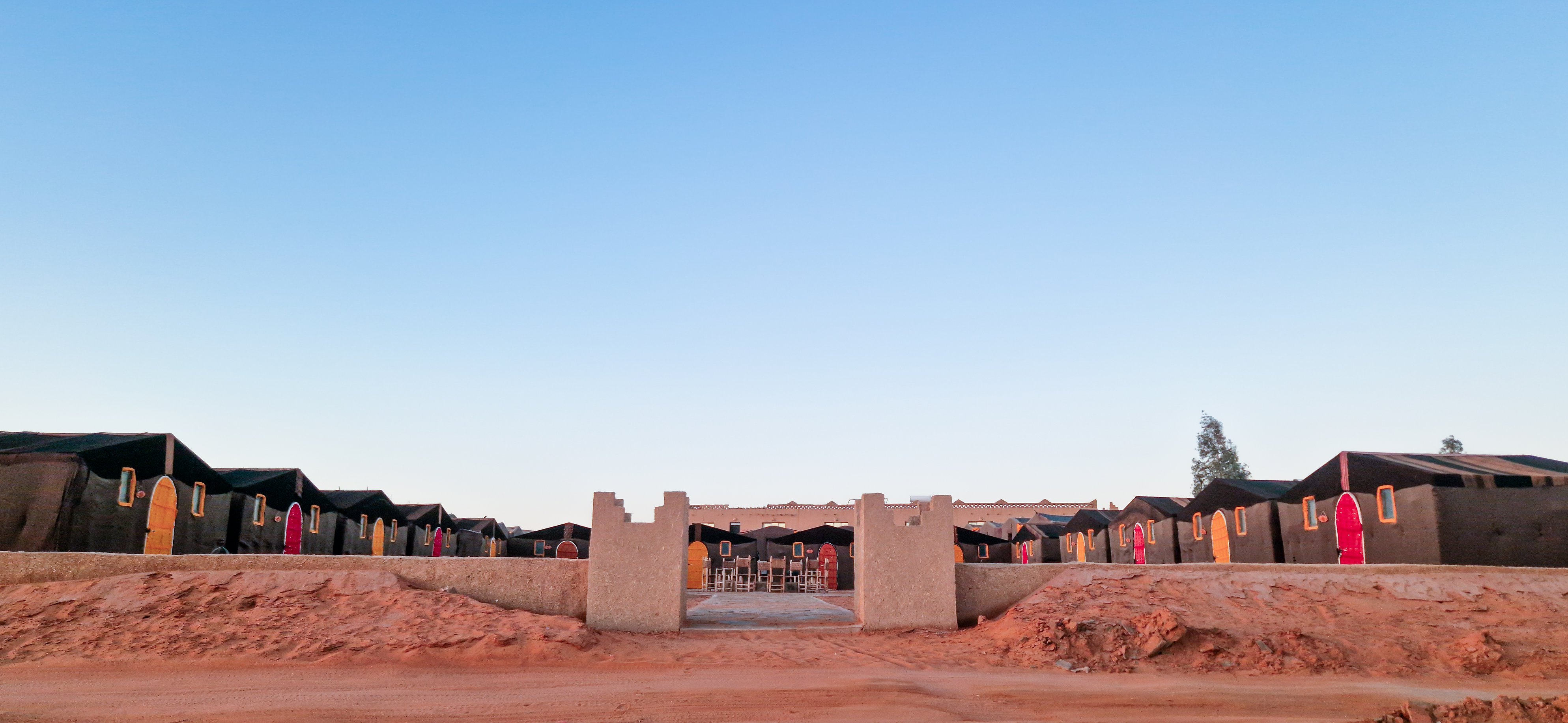 Palmeras Dunas
