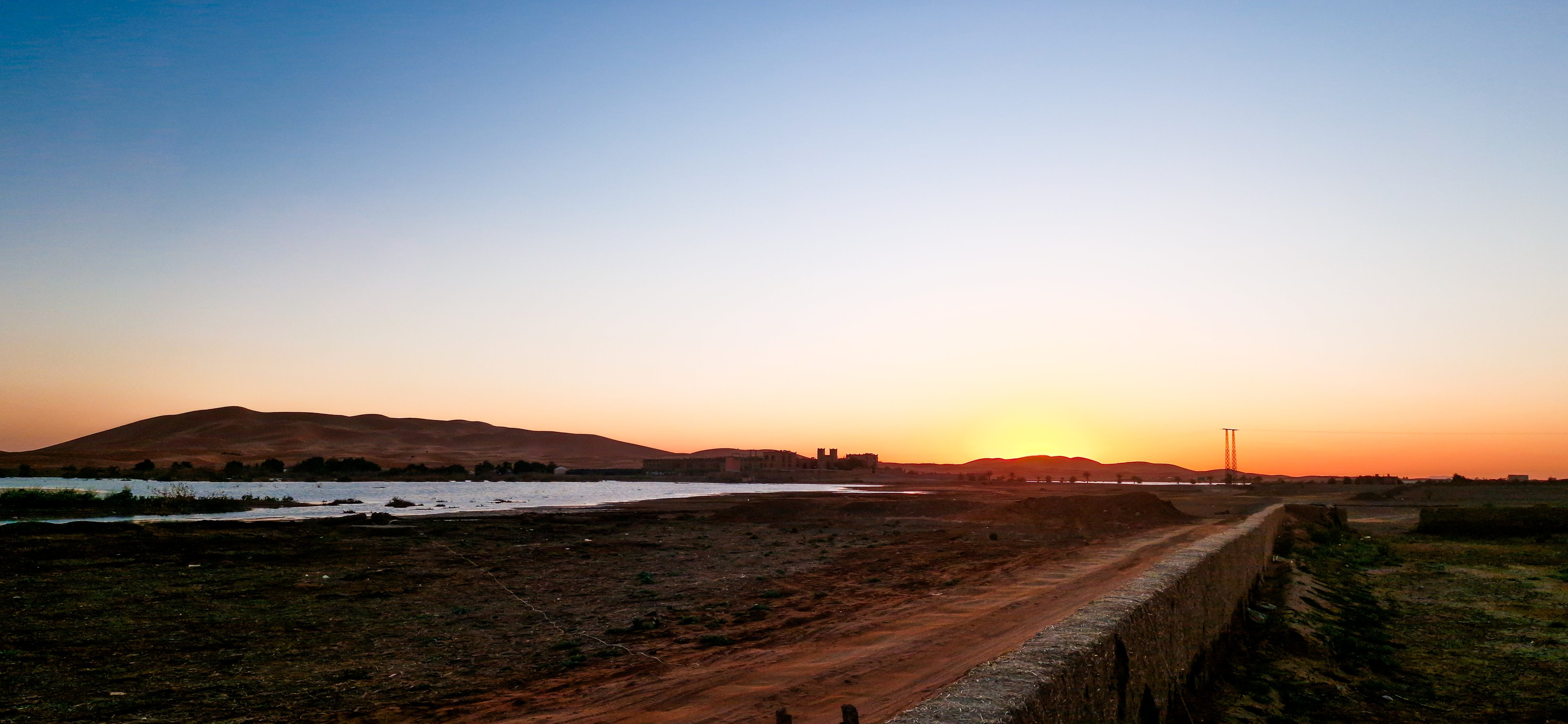 Palmeras Dunas