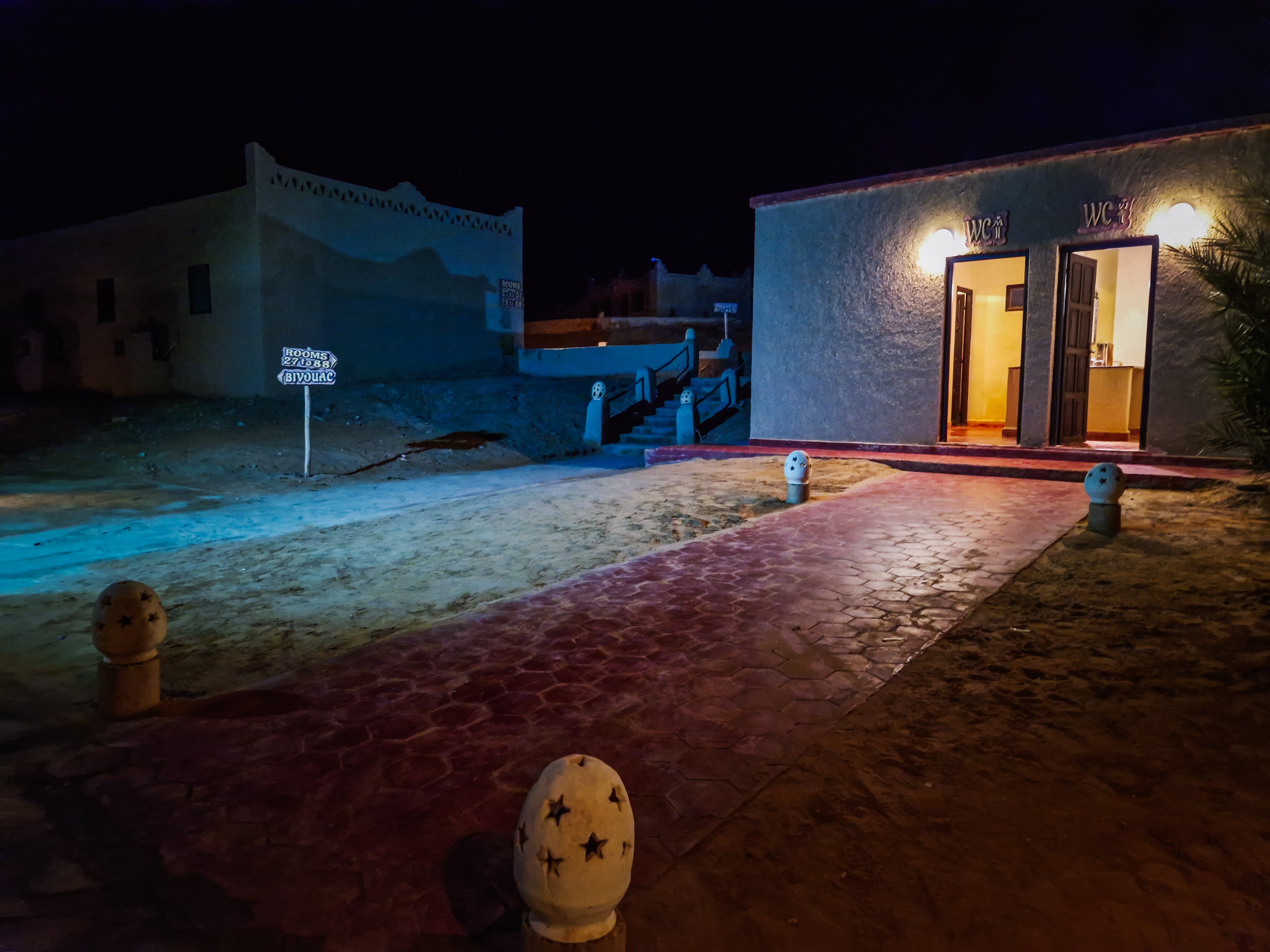 Palmeras Dunas