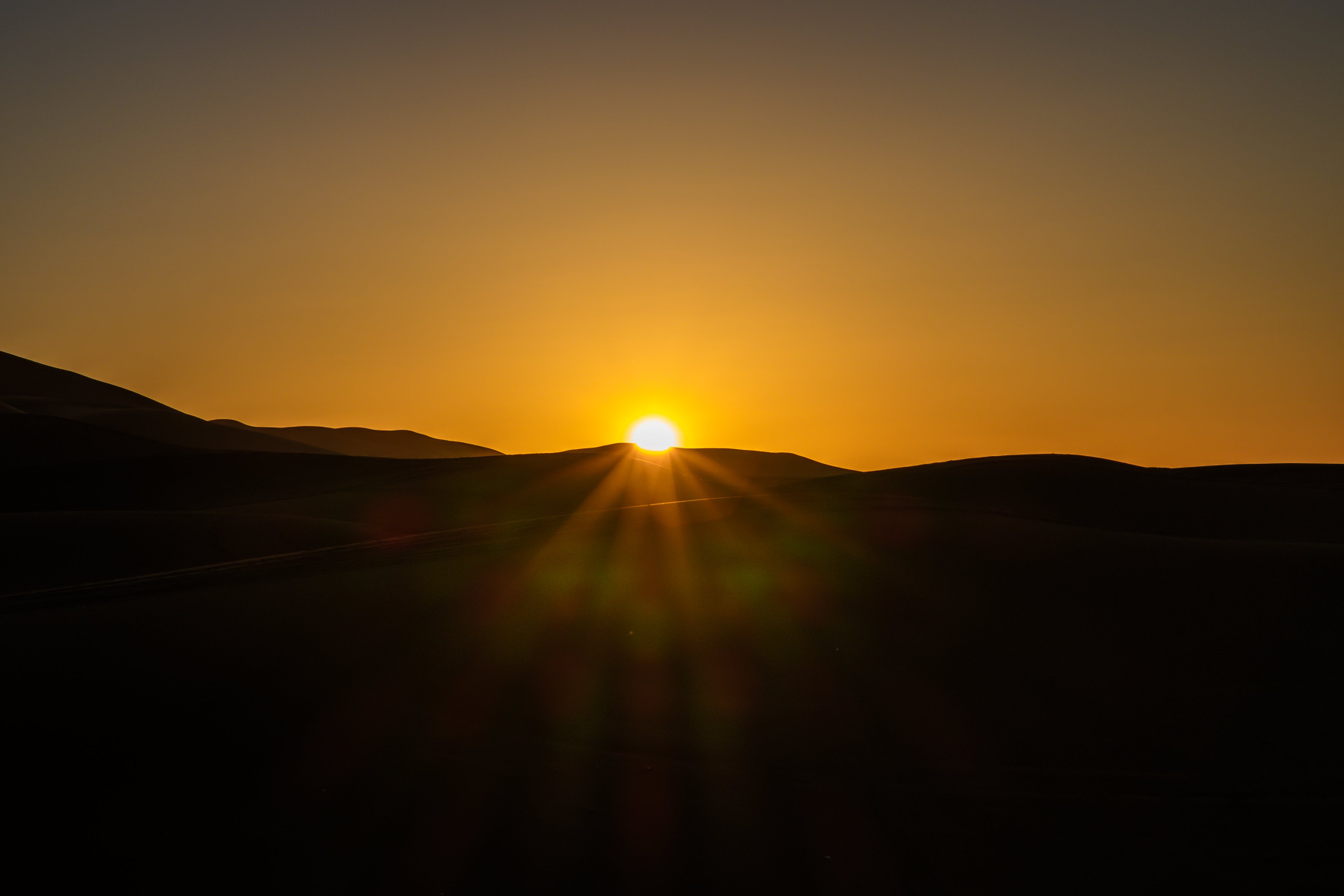 Palmeras Dunas
