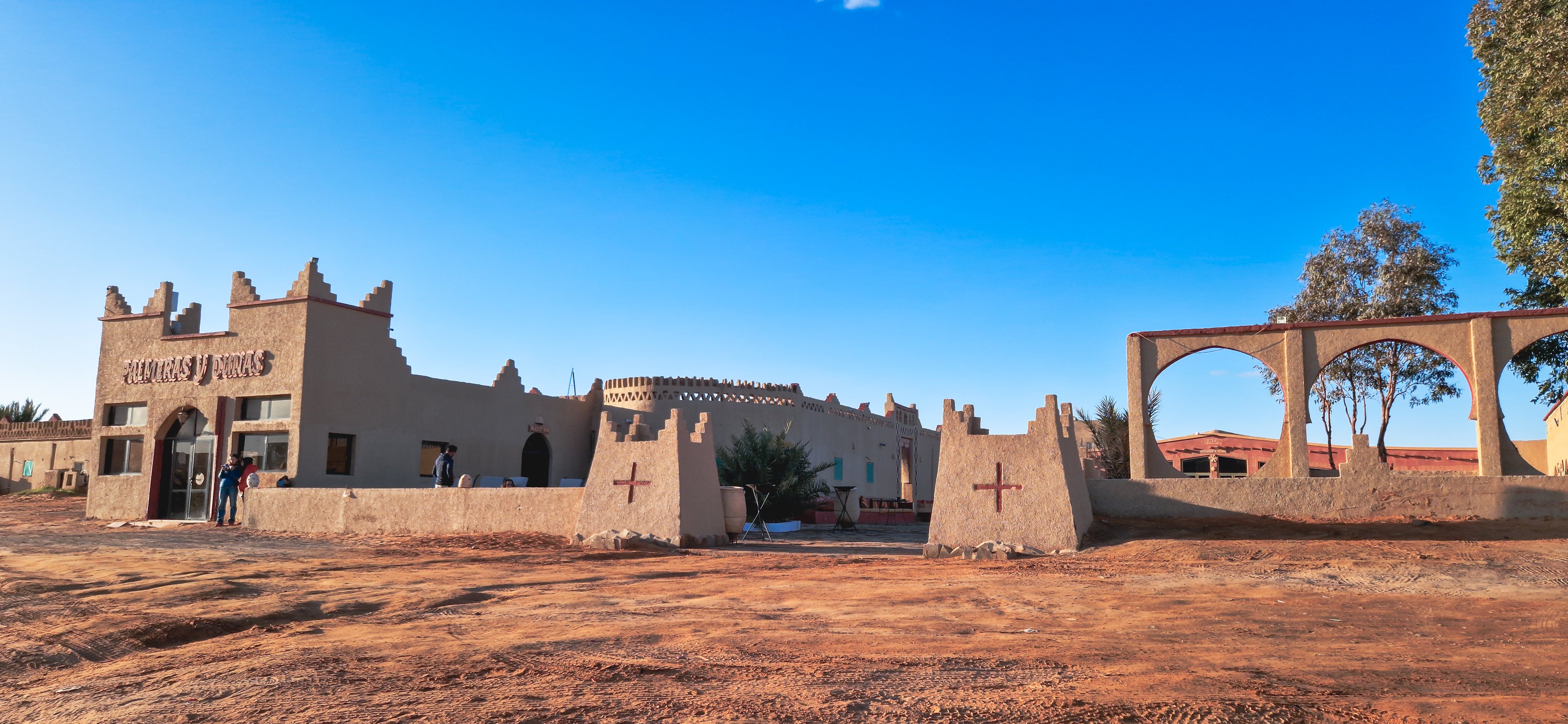 Palmeras Dunas