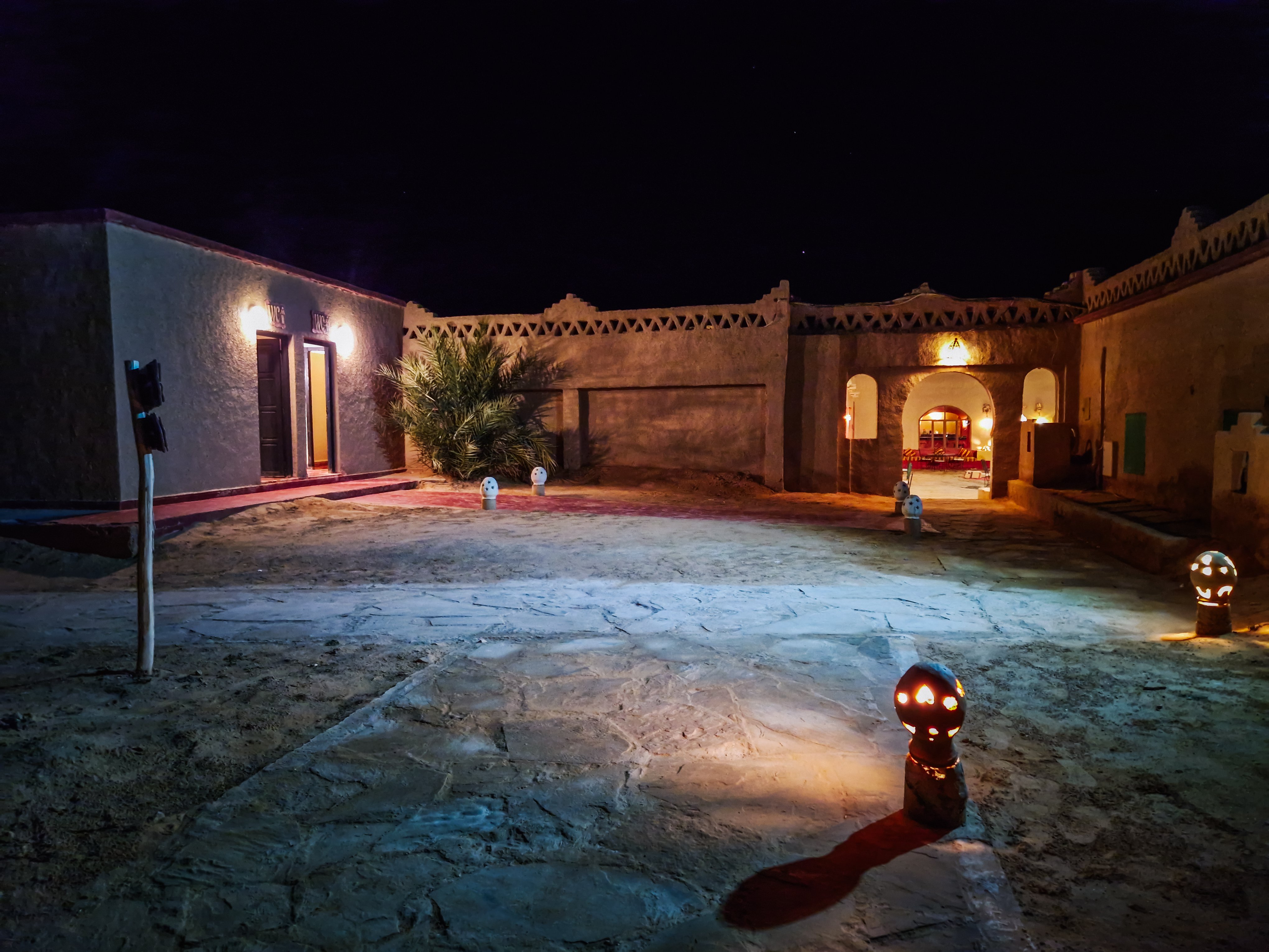 Palmeras Dunas