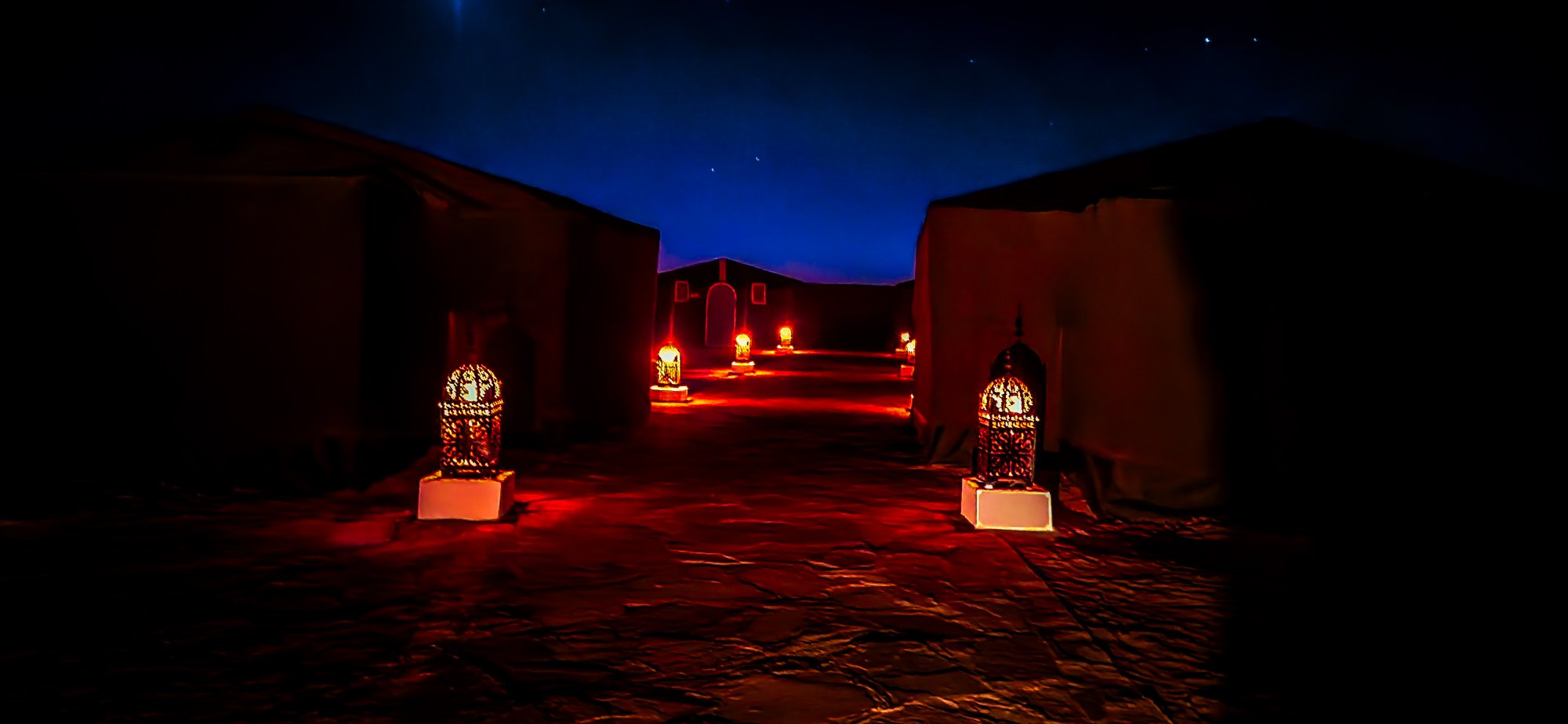 Palmeras Dunas
